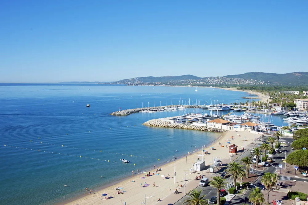 Plage de sable fin bordée par un palmier sous un ciel bleu azur avec la ville en arrière-plan