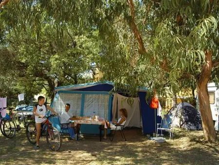 Family on a shaded campsite with a large blue tent and bicycles